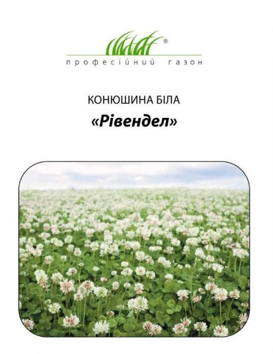 Конюшина біла декоративна Рівендел 50 г, Професійний газон
