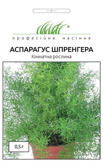 Аспарагус Шпренгера 0,5 г, Професійне насіння