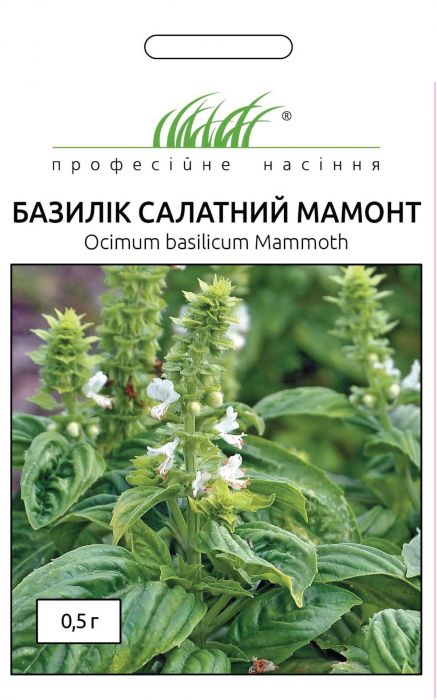 Базилік салатний Мамонт 0,5 г, Професійне насіння