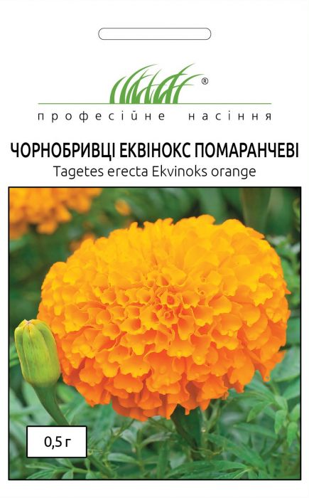 Чорнобривці прямостоячі Еквінокс помаранчеві 0,5 г