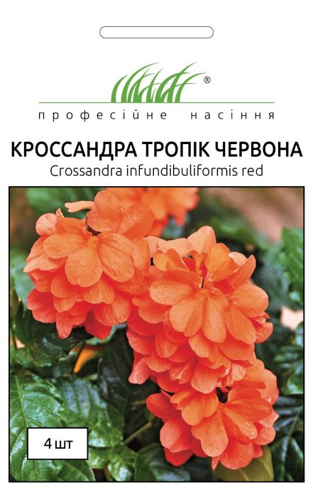 Кроссандра Тропік червона 4 шт, Професійне насіння