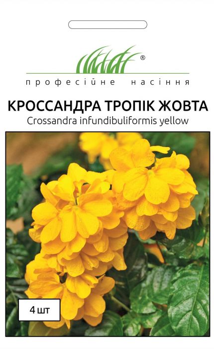 Кросандра Тропік жовта 4 шт, Професійне насіння