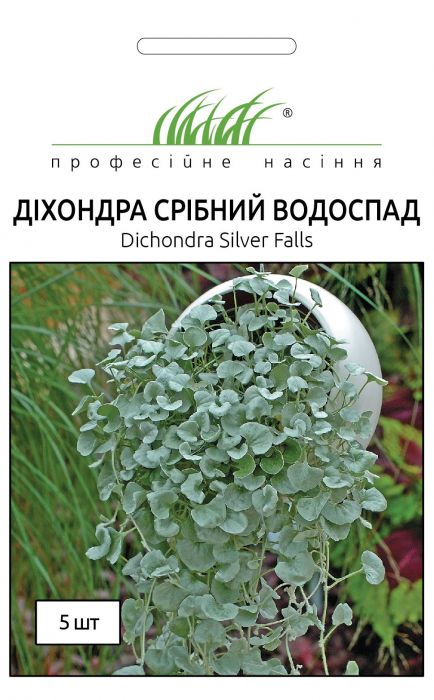 Діхондра Срібний Водоспад 5 шт, Професійне насіння
