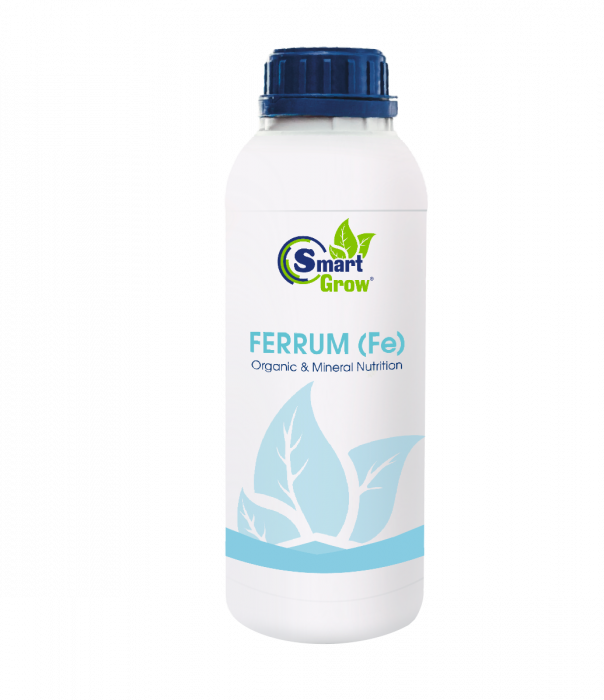 Органо-мінеральне добриво FERRUM (Fe) 1 л, SmartGrow