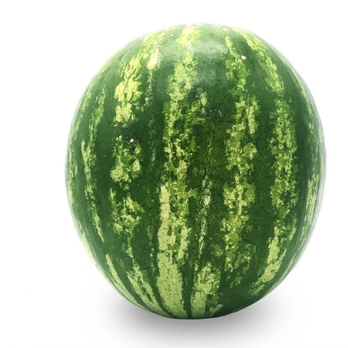 Кавун безкісточковий Філіп F1 середньоранній 100 шт, Hazera