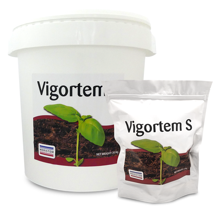  Фосфорно-гумінове добриво Vigortem-S (Вігортем-С) 1 кг, Meristem (товар на вагу)