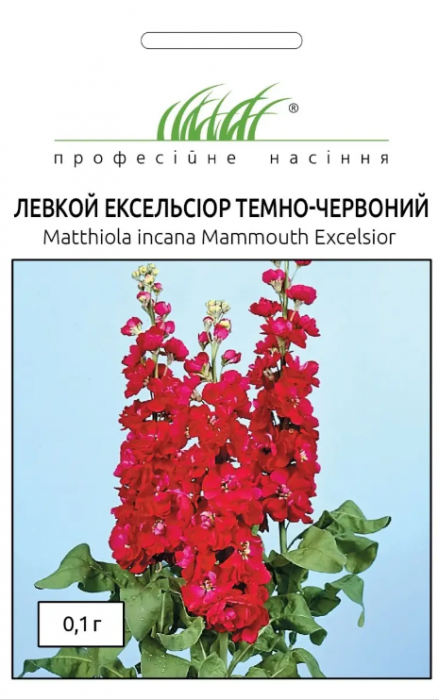 Левкой (матіола) Ексельсіор махрова темно-червоний 0,1 г, Професійне насіння