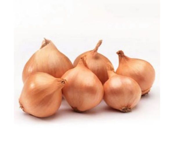 Цибуля-шалот Еллоу Мун 1 кг, TOP Onion Sets Нідерланди