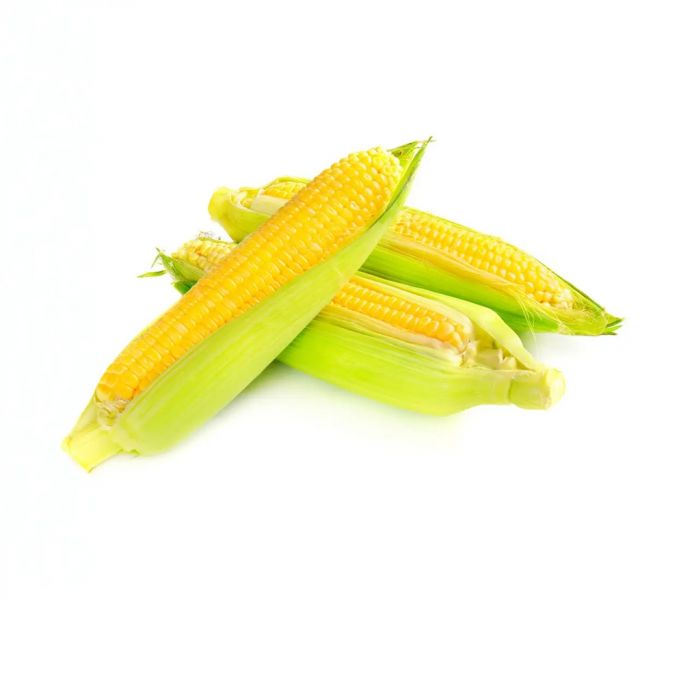 Кукурудза Розі F1 рання 2500 шт, Yuksel Seeds