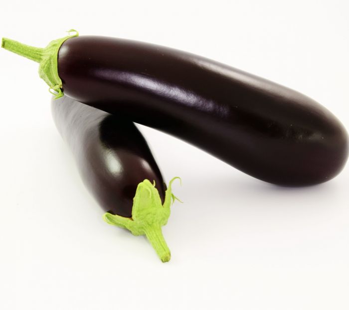 Баклажан Честер F1 ранній 1000 шт, Ergon International