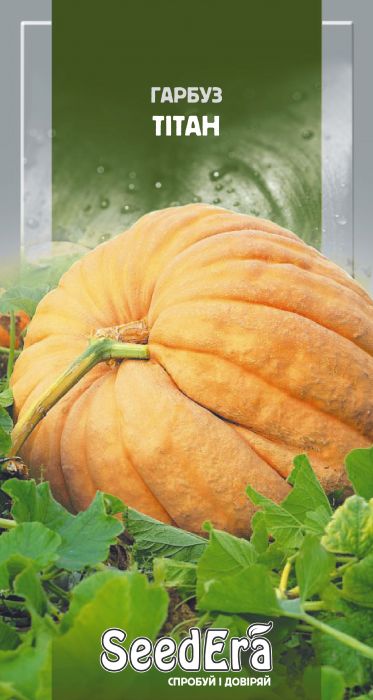 Гарбуз Тітан 2 г, Seedera