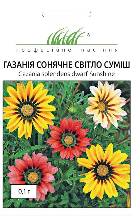 Газанія блискуча Сонячне світло суміш 0,1 г, Професійне насіння