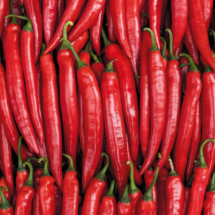 Перець гострий Хайфі F1 ультраранній 500 шт, Enza Zaden