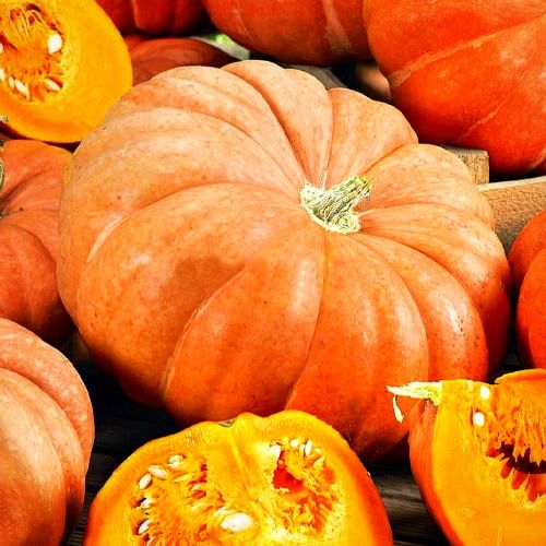 Гарбуз Стофунтовий 10 г, Україна