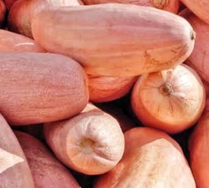 Гарбуз Рожевий Фламінго 50 г, Україна