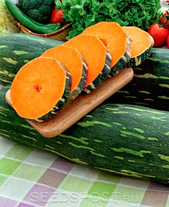 Гарбуз Лунга Пієна ді Наполі 20 шт, Україна