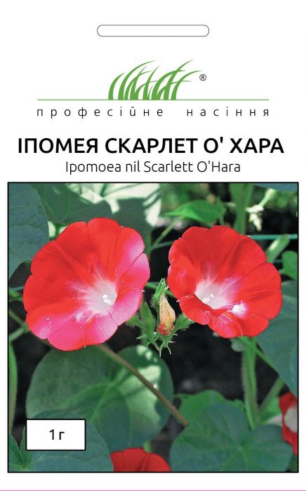 Іпомея Скарлет О' Хара 1 г