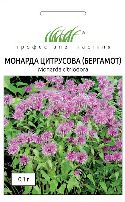 Монарда (Бергамот) 0,1 г, Професійне насіння