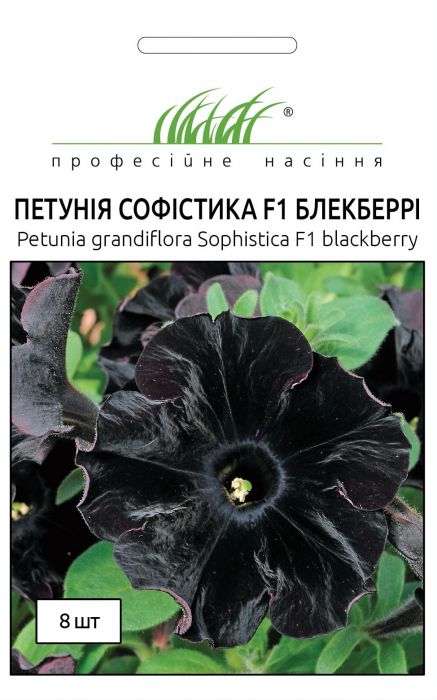 Петунія грандіфлора Софістика F1 Блекбері 8 шт, Професійне насіння