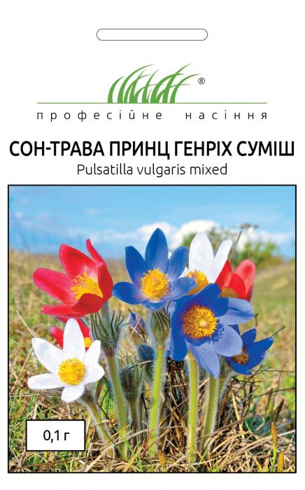 Сон-трава Принц Генріх суміш 0,1 г, Професійне насіння