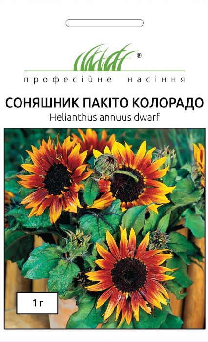  Соняшник Пакіто Колорадо суміш 1 г