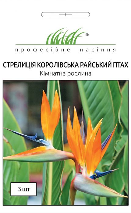 Стреліція королівська Райський птах 3 шт, Професійне насіння
