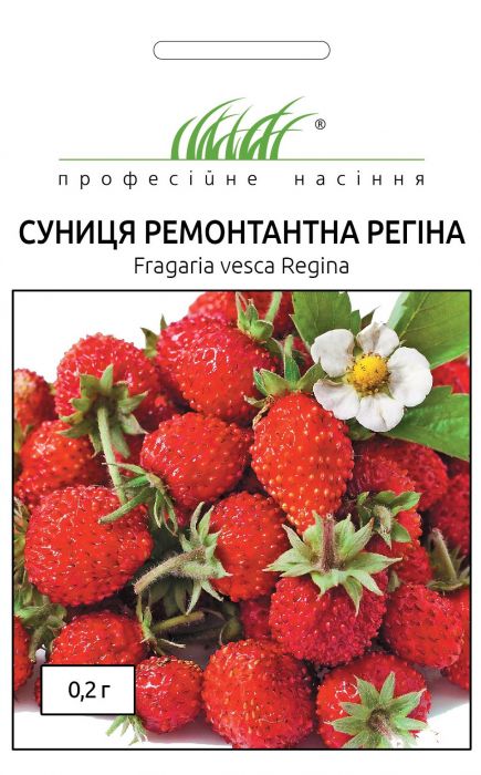  Суниця Альпійська ремонантна Регіна 0,2  г