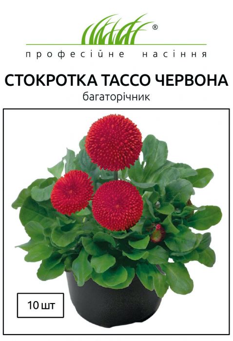 Стокротка (маргаритка) багаторічна Тассо червона 10 шт, Професійне насіння