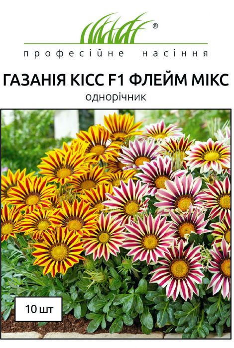 Газанія блискуча Кісс F1 флейм мікс 10 шт, Професійне насіння