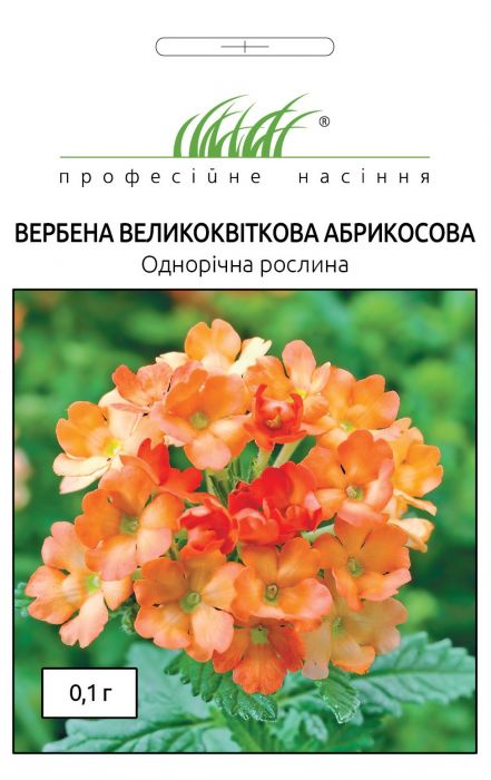 Вербена Великоквіткова абрикосова  0,1 г