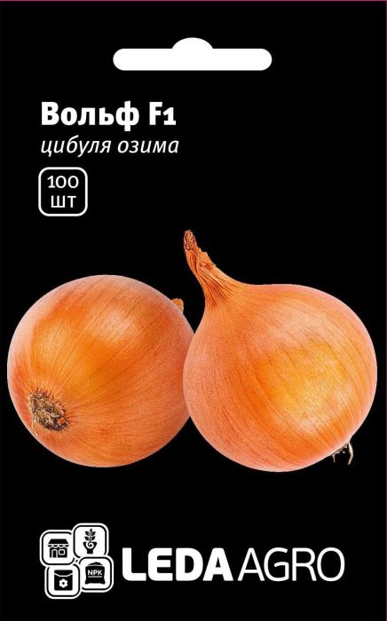 Цибуля Вольф F1 озима 100 шт, Leda Agro