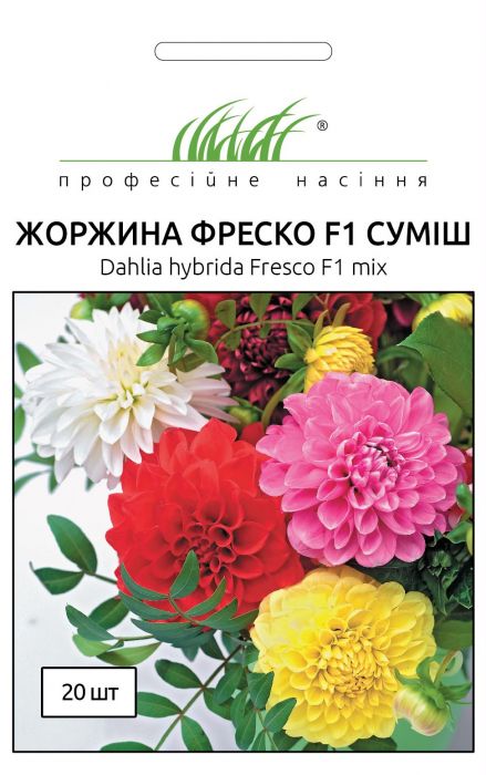  Жоржина махрова Фреско F1 суміш 10 шт