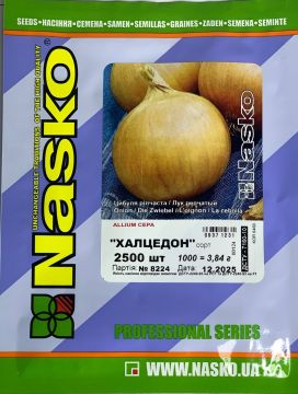 Цибуля середньостигла на зберігання Халцедон 2500 шт, Nasko