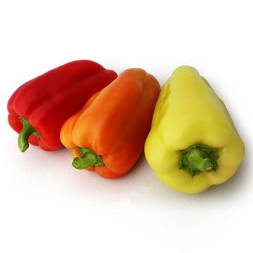 Перець Яніка F1 типу Угорський (Білозірка) 10 шт, Ваша Грядка