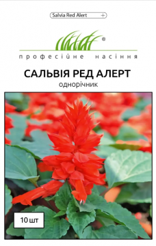 Сальвія блискуча низькоросла Ред Алерт 10 шт, Професійне насіння