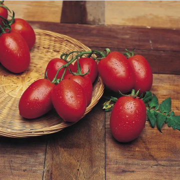 Томат Ріо-Гранде кущовий 500 г, United Genetics