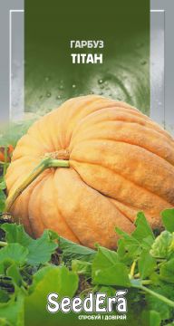 Гарбуз Тітан 2 г, Seedera