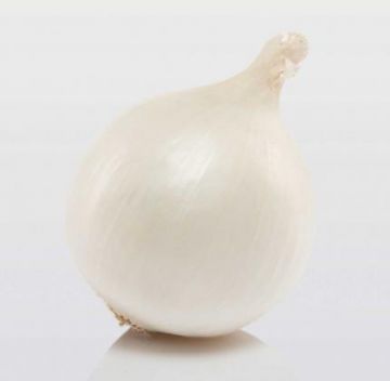Цибуля сіянка Сноубол 1 кг, TOP Onions BV Нідерланди - Попереднє замовлення