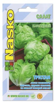 Салат качанний Трістан (тип Айсберг) 1 г, Nasko