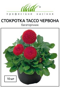 Стокротка (маргаритка) багаторічна Тассо червона 10 шт, Професійне насіння