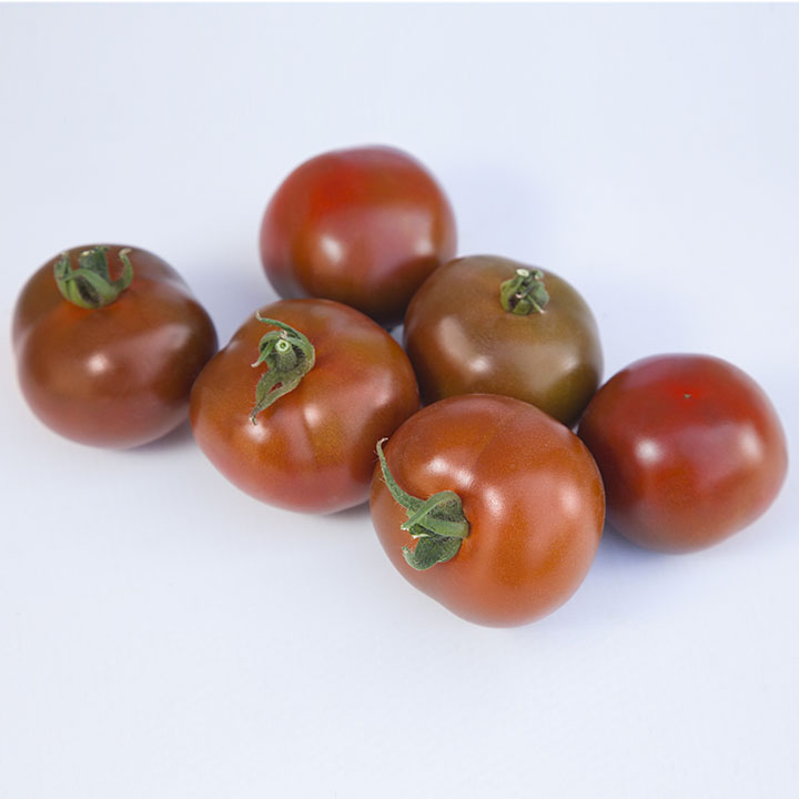 Томат KS 125 F1 ранній червоно-коричневий 500 шт, Kitano Seeds