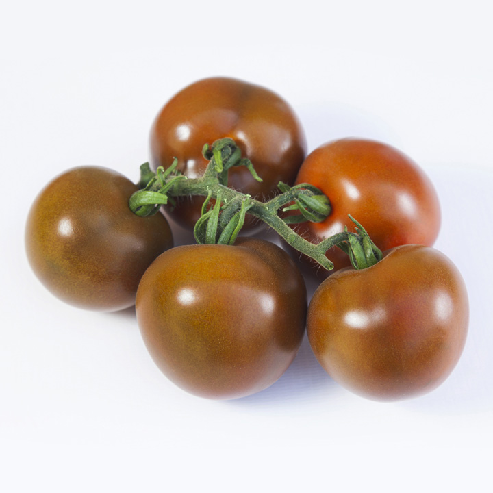 Томат KS 125 F1 ранній червоно-коричневий 500 шт, Kitano Seeds